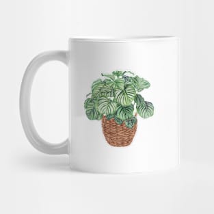 Calathea plant in basket Mug